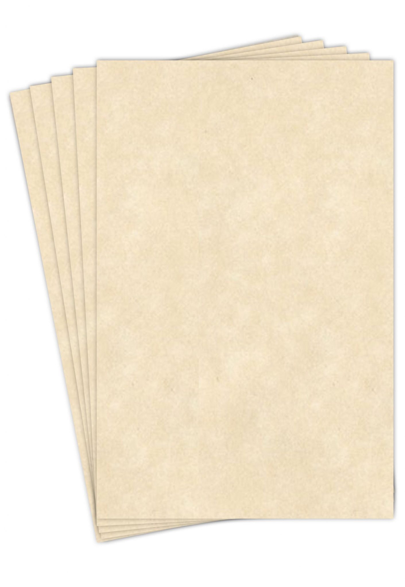 11 x 17 Parchment Cardstock - Fine Cardstock