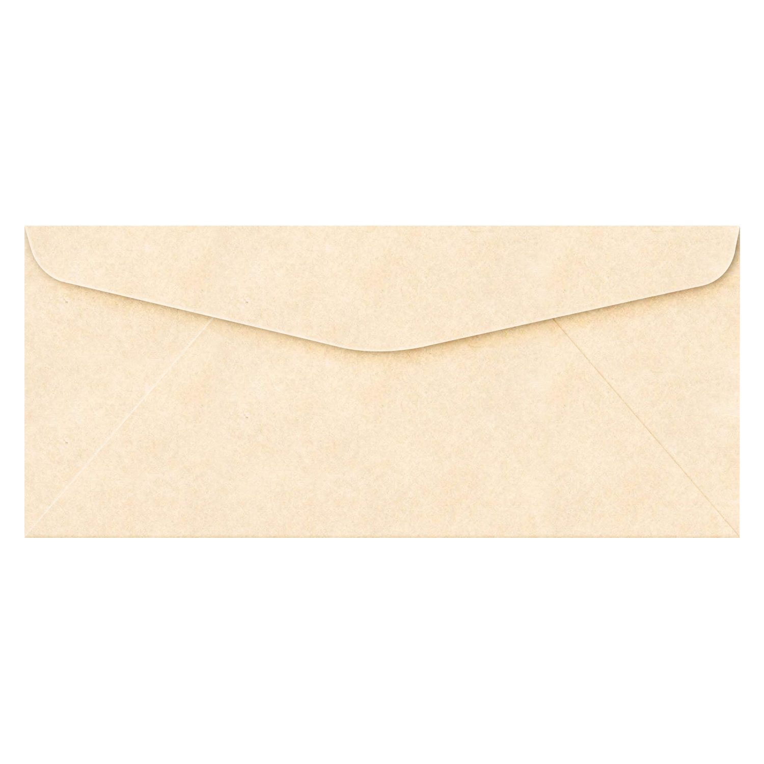 10 Parchment Envelopes Natural Bulk and Wholesale Fine Cardstock